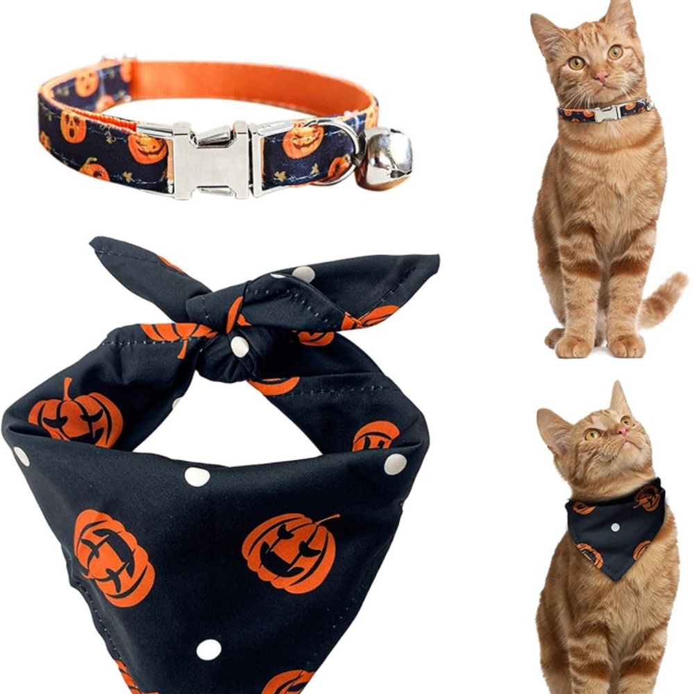 Halloween Breakaway Cat Collar